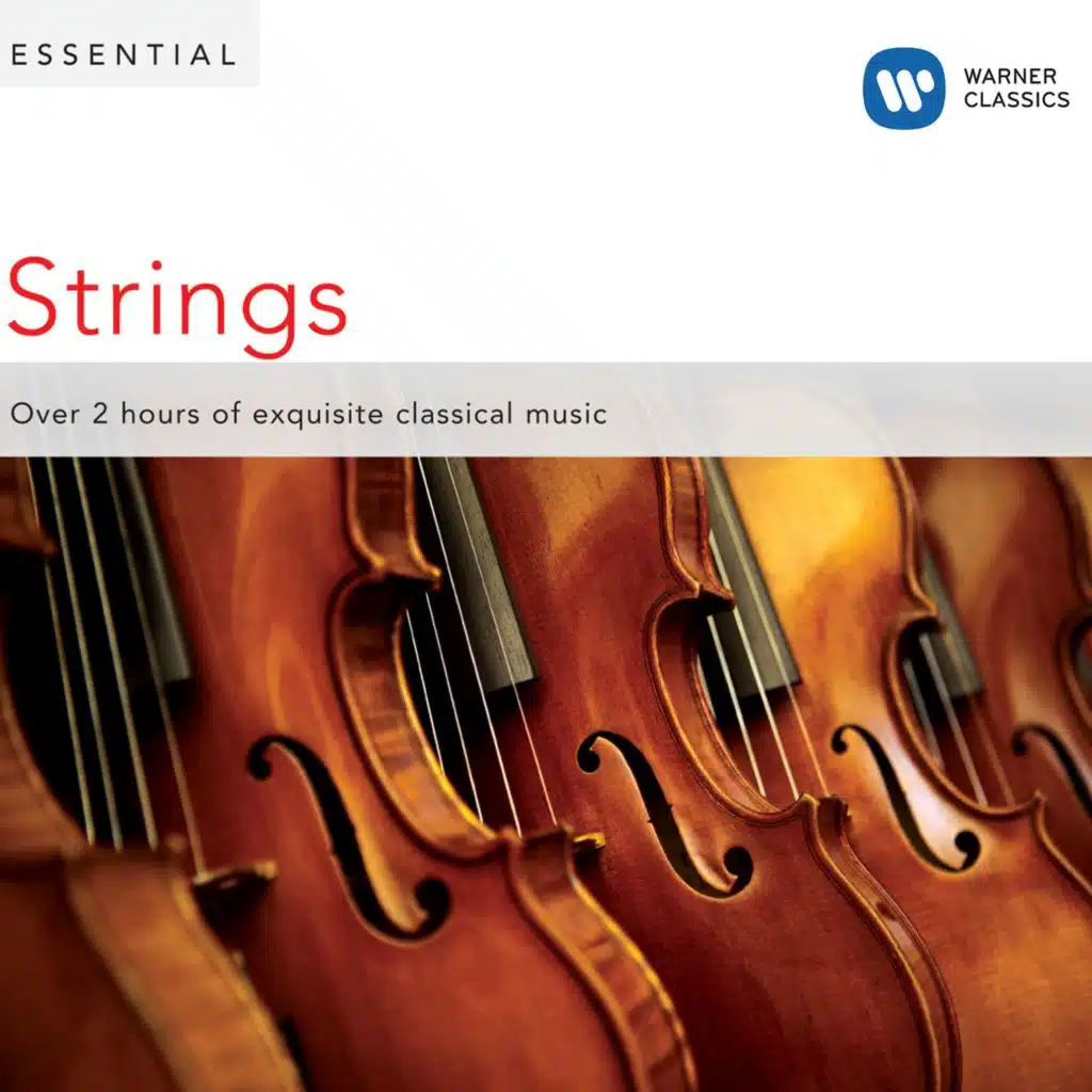 Serenade for Strings, Op. 20: II. Larghetto