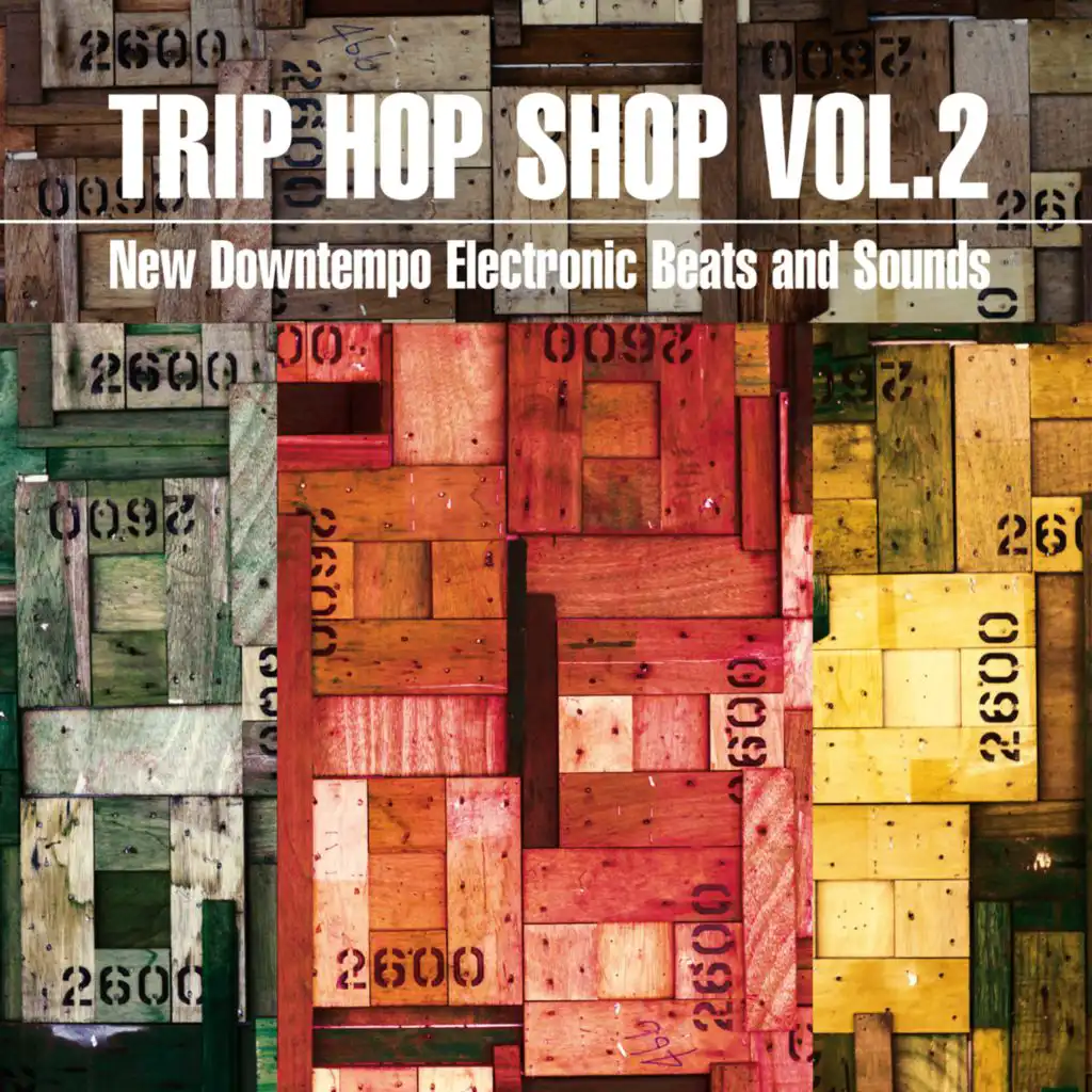 Trip Hop Shop, Vol. 2 (New Downtempo Electronic Beats and Sounds)