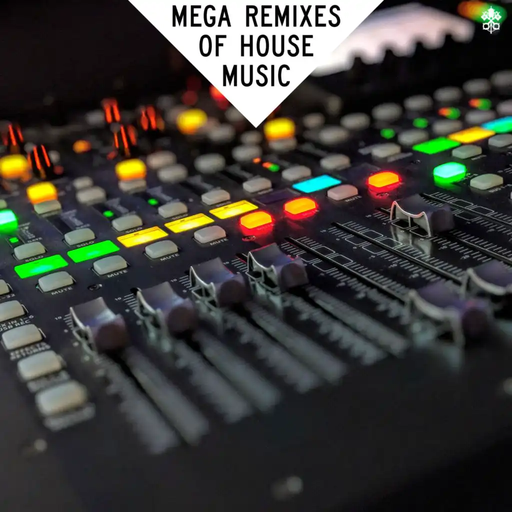 MEGA Remixes of House Music