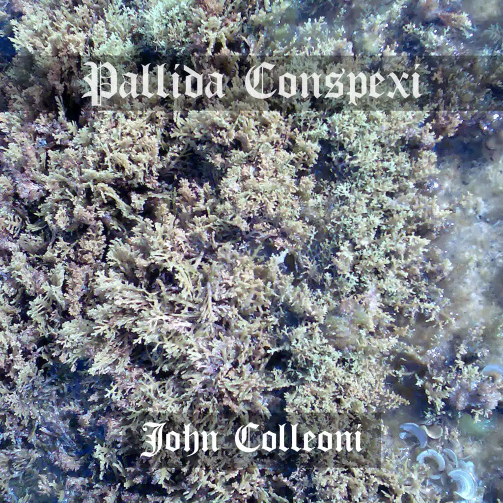 In Quavis (Motus IV)