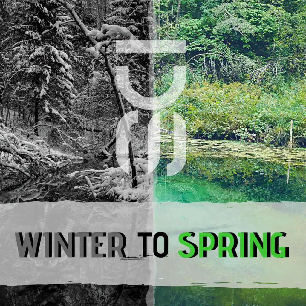 Winter to Spring