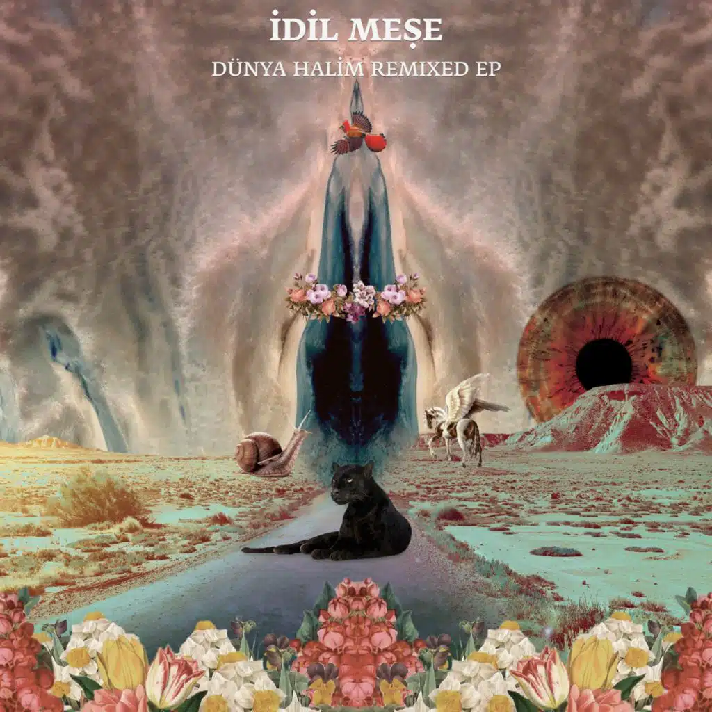 Dünya Halim (Remix)
