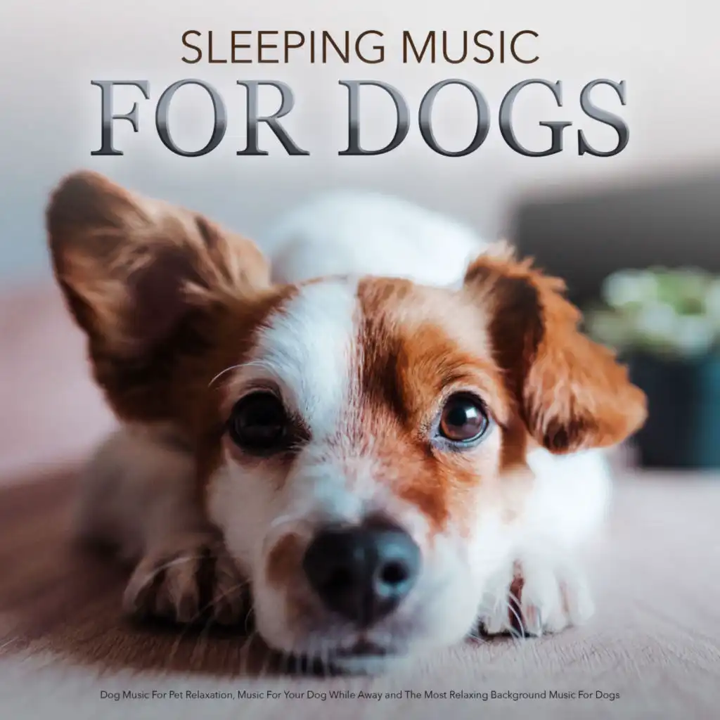 Sleeping Music For Dogs: Dog Music For Pet Relaxation, Music For Your Dog While Away and The Most Relaxing Background Music For Dogs