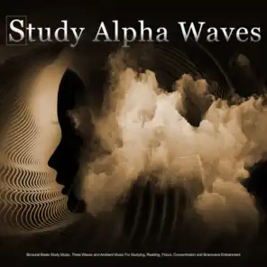Study Alpha Waves: Binaural Beats Study Music, Theta Waves and Ambient Music For Studying, Reading, Focus, Concentration and Brainwave Entrainment