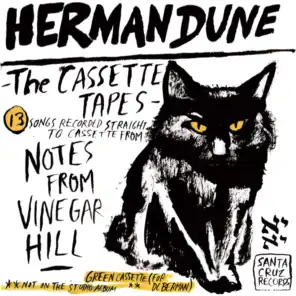 The Cassette Tapes from Vinegar Hill
