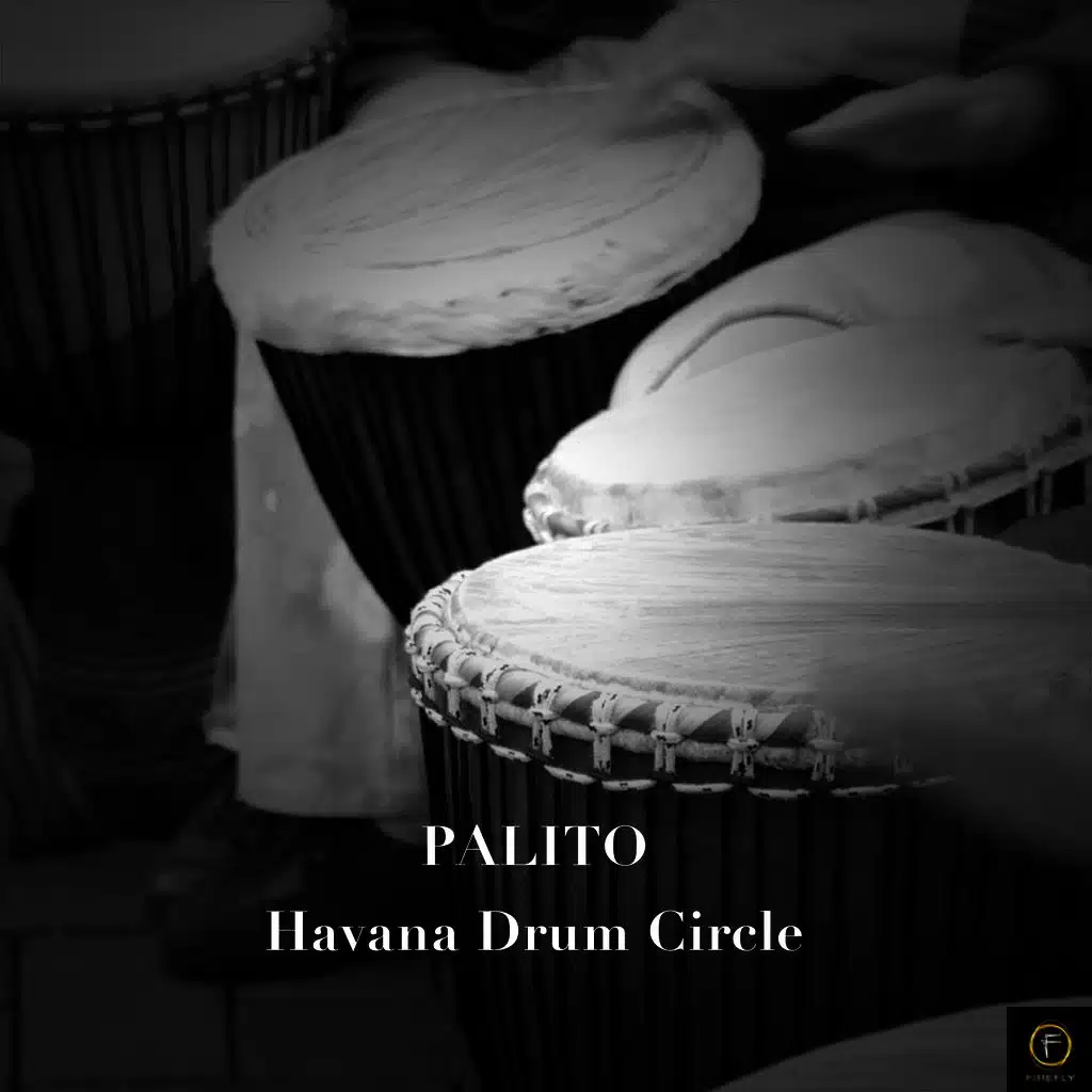 Palito, Havana Drum Circle