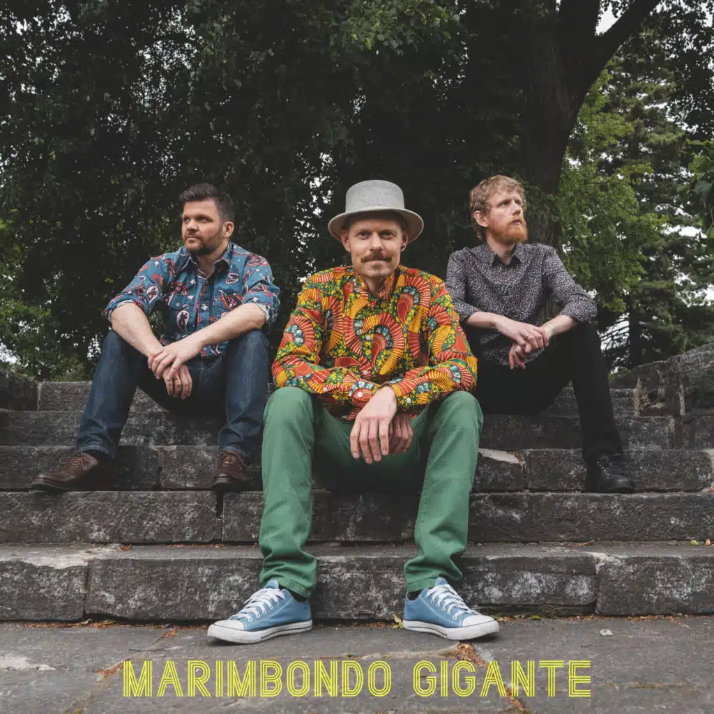 Marimbondo Gigante