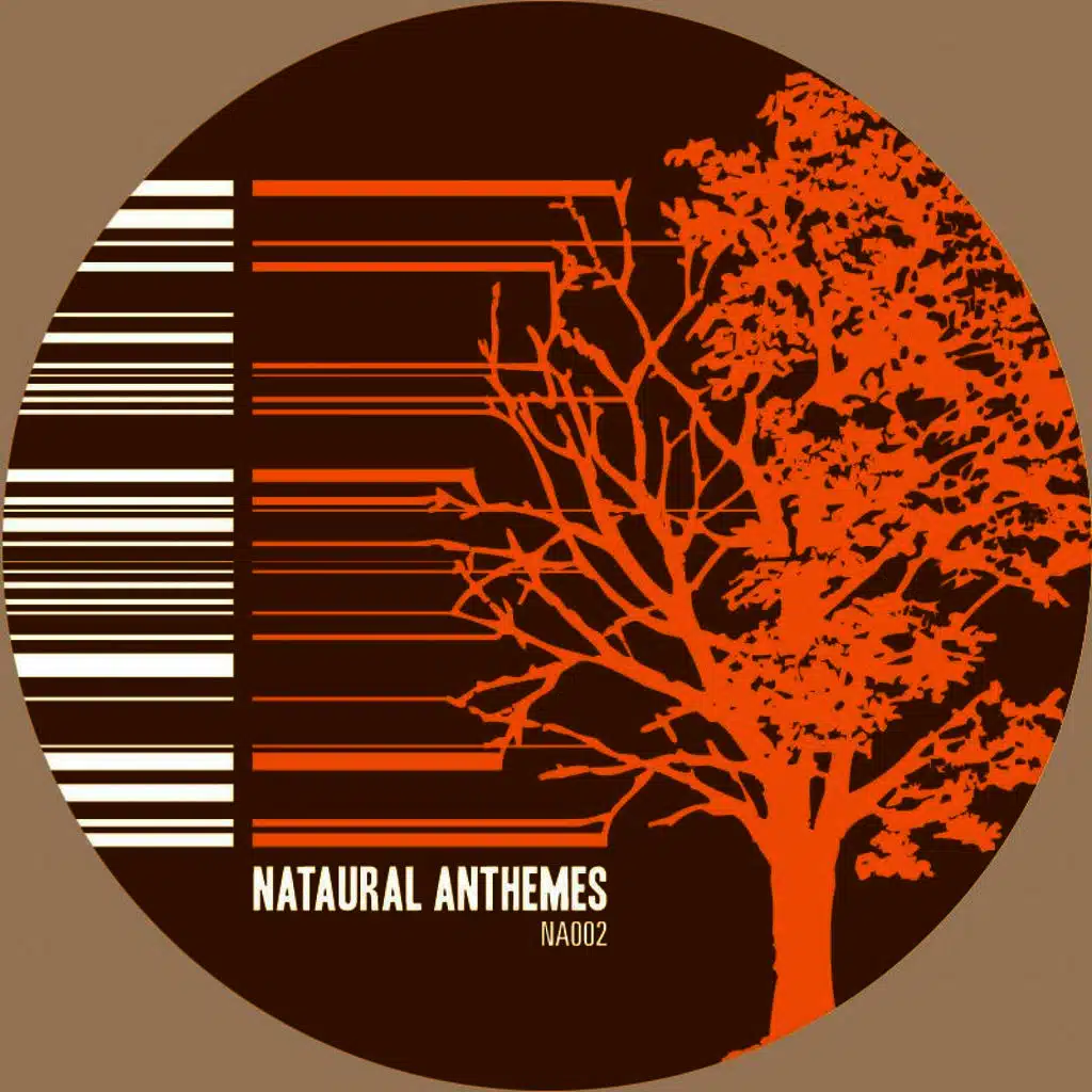 Antheme 02: Studies in Detailed Design (Attention II Detail Disorder Remixed)