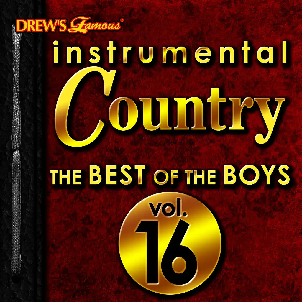 Instrumental Country: The Best of the Boys, Vol. 16