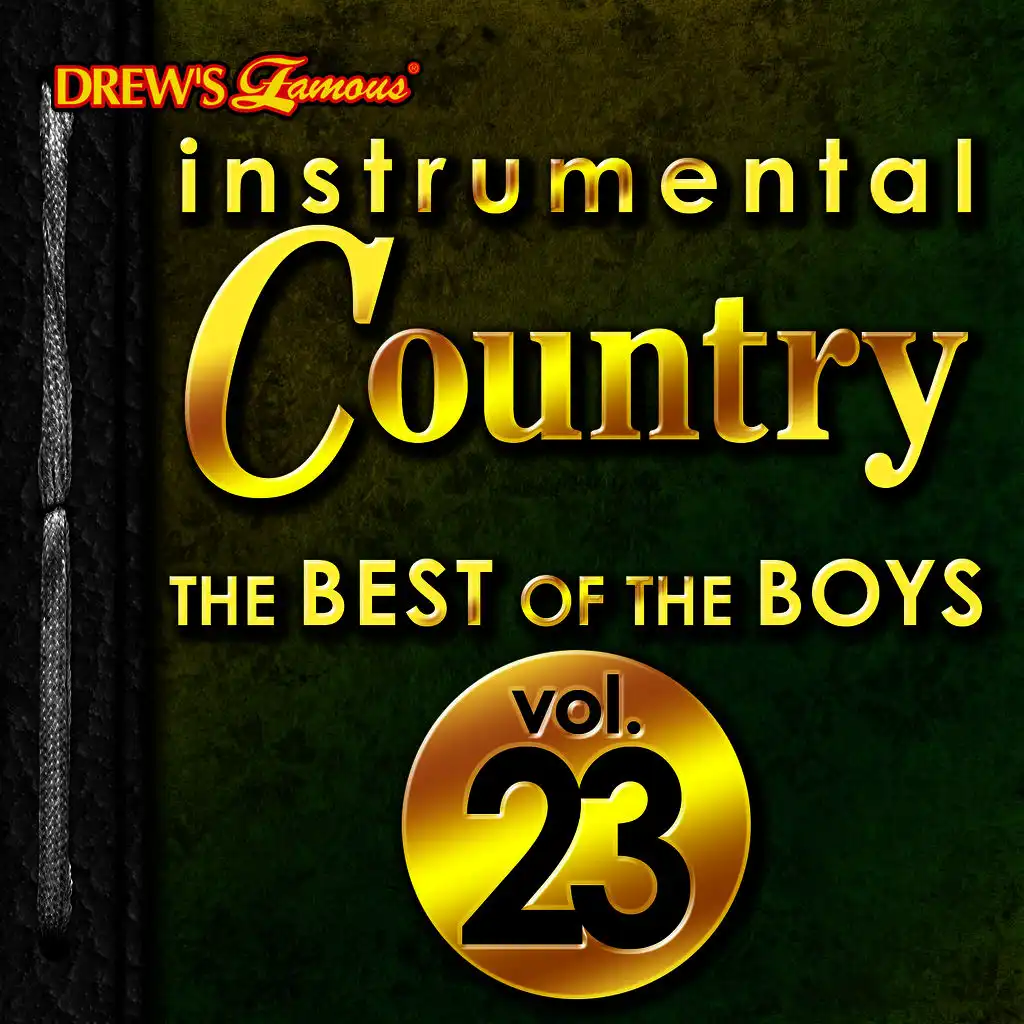 Instrumental Country: The Best of the Boys, Vol. 23