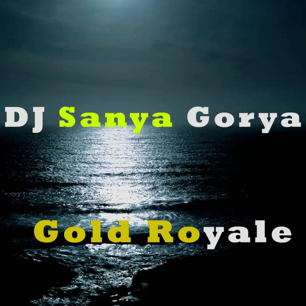 Dj Sanya Gorya