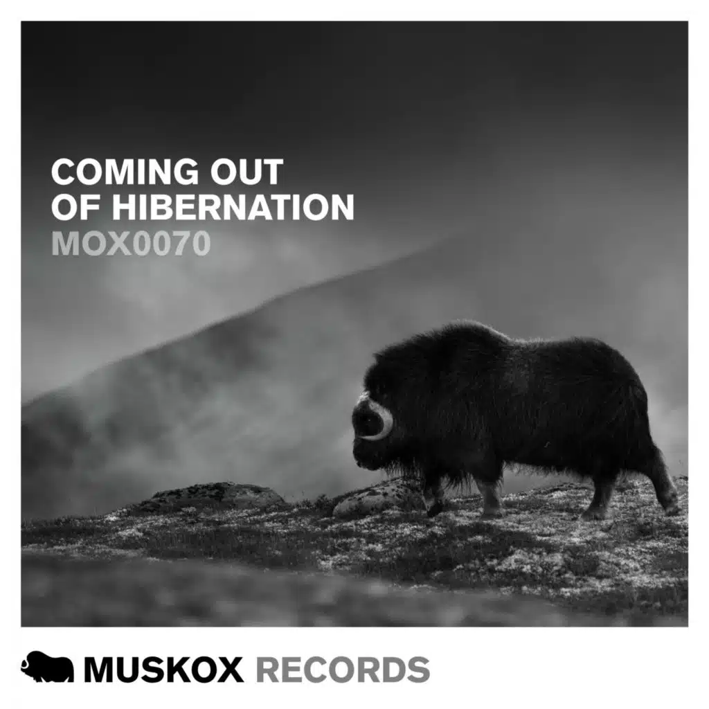 Louis XIV (TÂCHES Remix) [feat. TÂCHES]