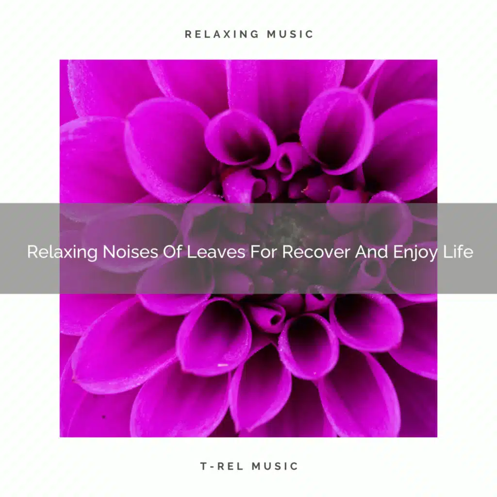2021 New: Relaxing Noises Of Leaves For Recover And Enjoy Life