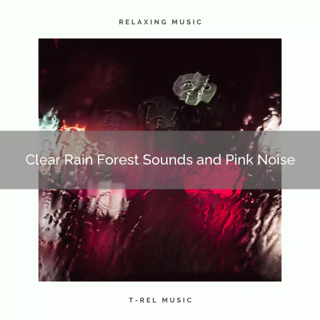 Rain White Noise and Gentle Sounds
