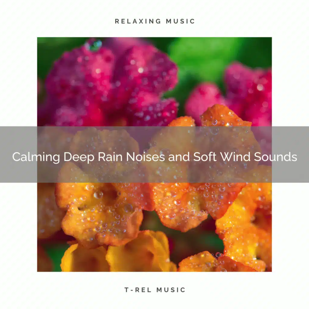 Sleep Miracle, Nature Songs Nature Music & Nature Radio 1