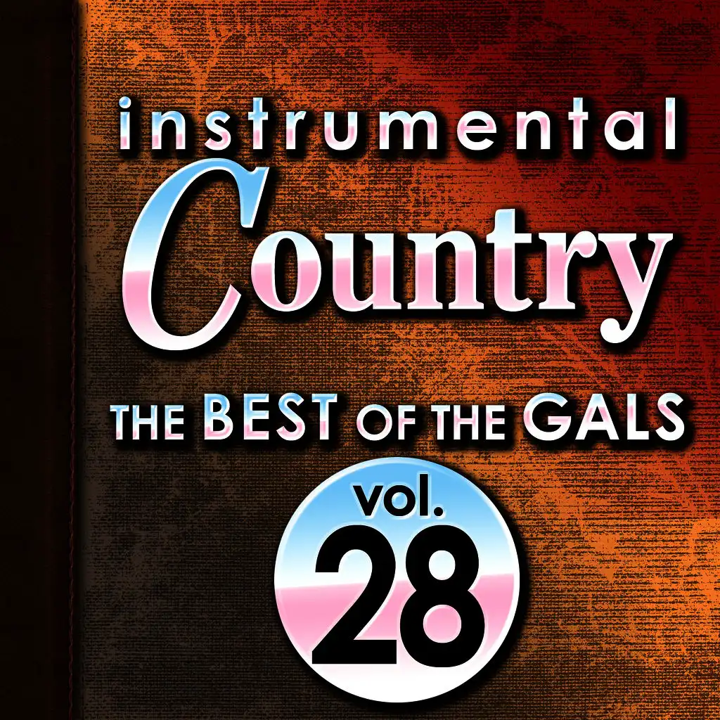 Instrumental Country: The Best of the Gals, Vol. 28