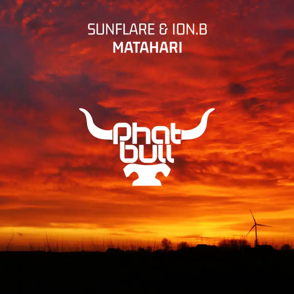 Sunflare & ion.B