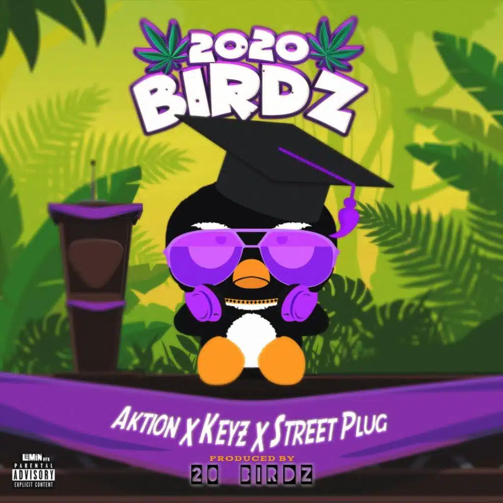 2020 Birdz