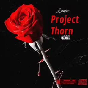 Project Thorn