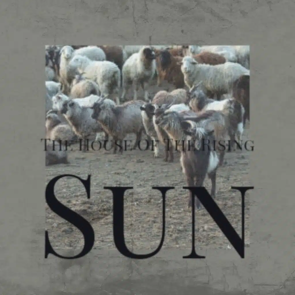 Don Turman & The Vibra Sonics