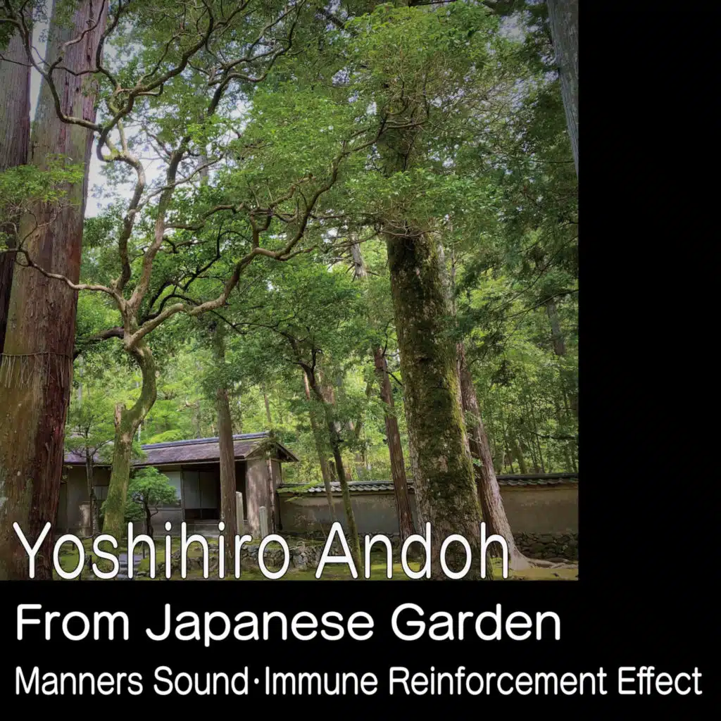 From Japanese Garden - Manners Sound・immune Reinforcement Effect