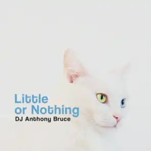 Little or Nothing