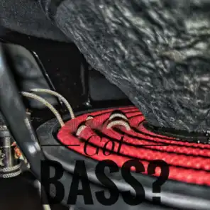 Got Bass?