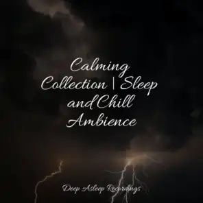 Calming Collection | Sleep and Chill Ambience