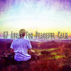 67 Auras for Peaceful Calm