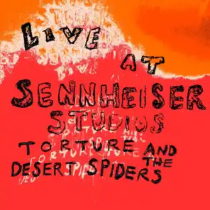 Live at Sennheiser Studios:
