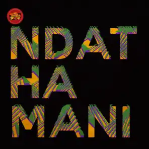 Ndathamani (Silvia Zaragoza Remix) [feat. Gaone Rantlhoiwa]