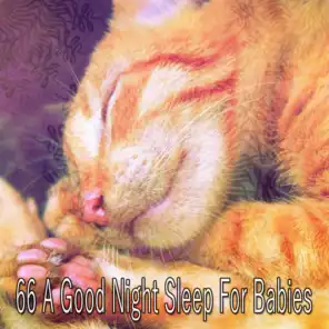 66 A Good Night Sleep for Babies