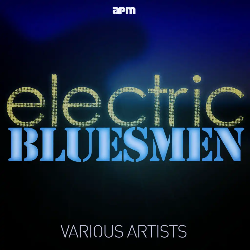 101 - The Best of Electric Bluesmen