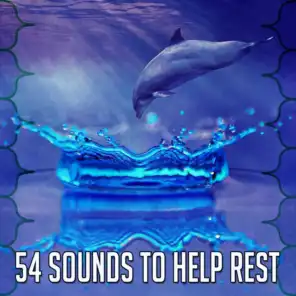 54 Sounds to Help Rest