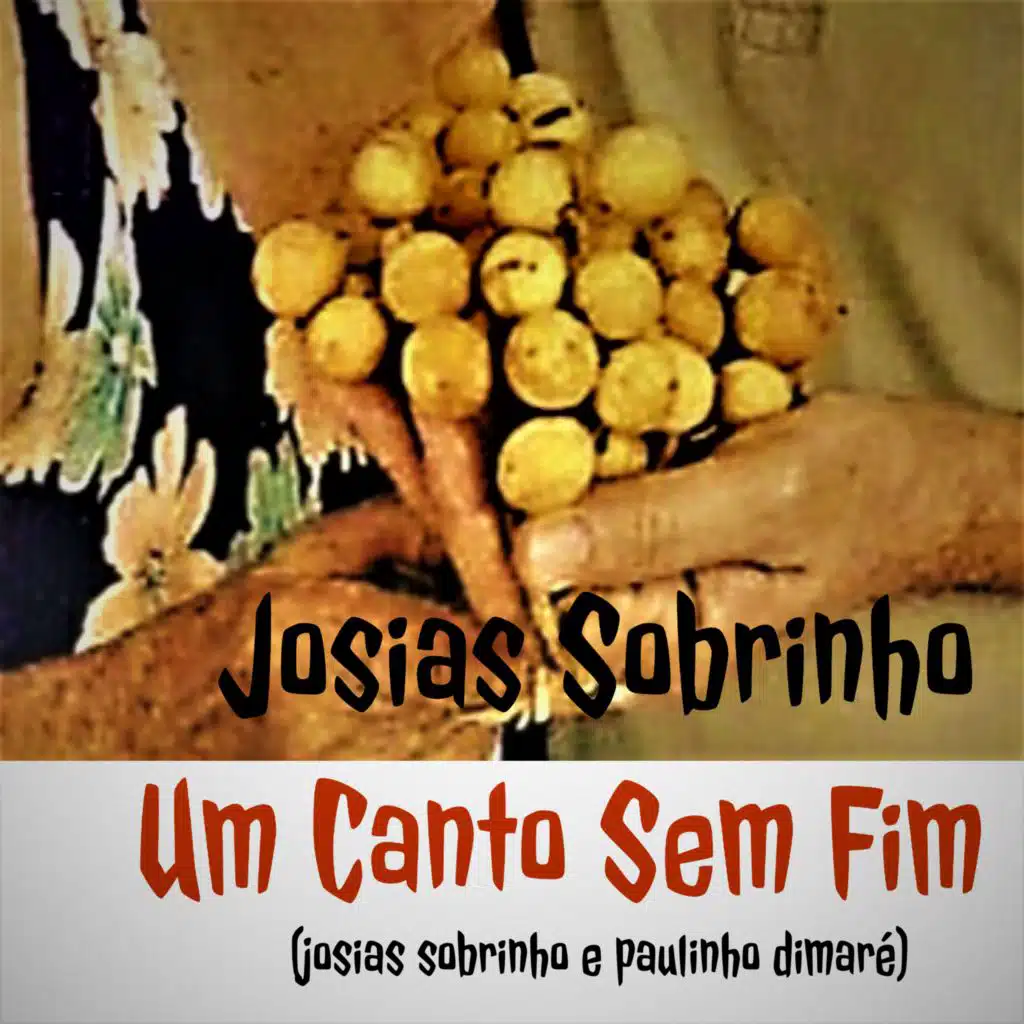 Um Canto Sem Fim (feat. Zé Américo Bastos)