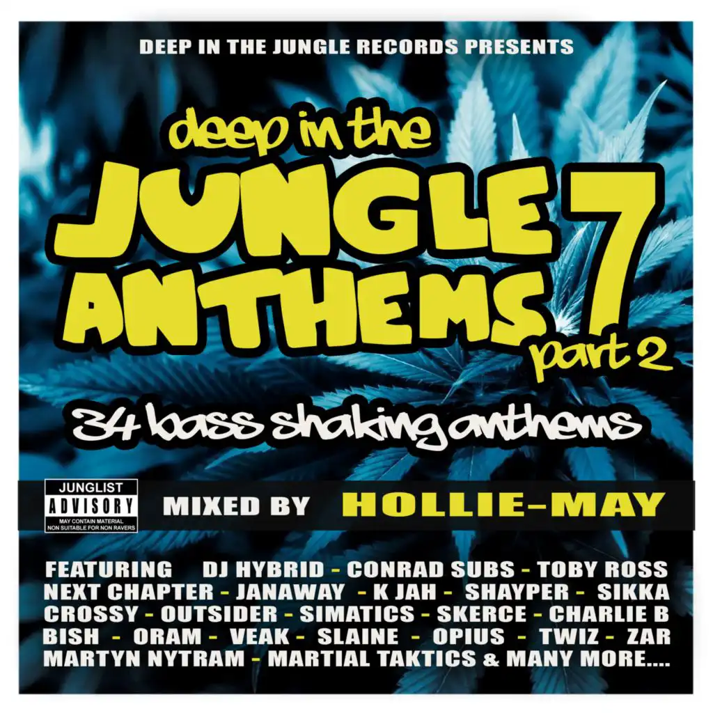 Deep In The Jungle Anthems 7 - Part 2 (Mixed by Hollie-May)