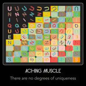 There Are No Degrees Of Uniqueness