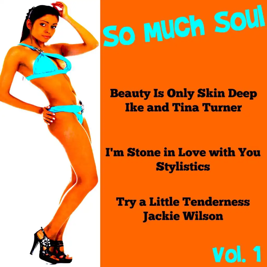 So Much Soul, Vol. 1