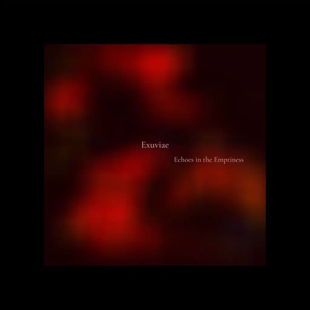 Echoes in the Emptiness