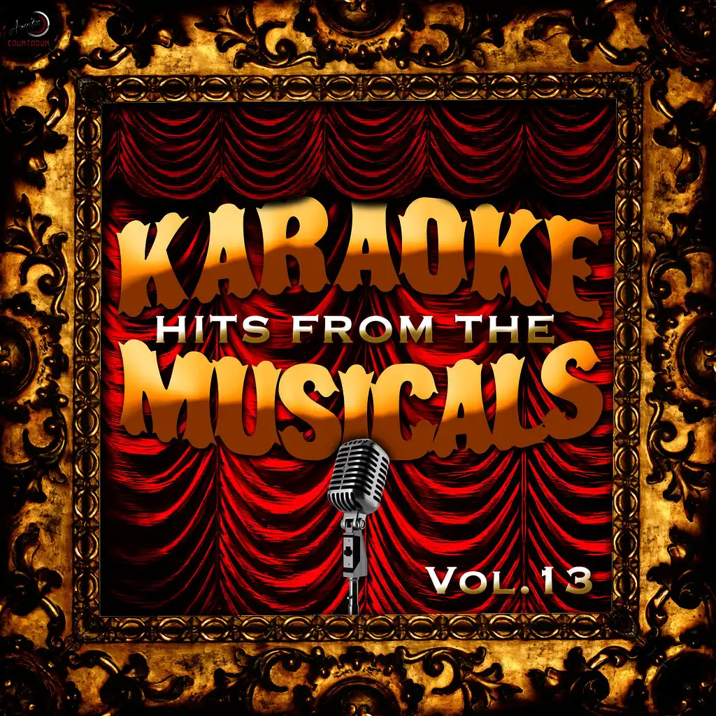Karaoke - Hits from the Musicals, Vol. 13