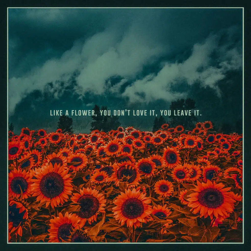 Like A Flower, You Don't Love It, You Leave It.