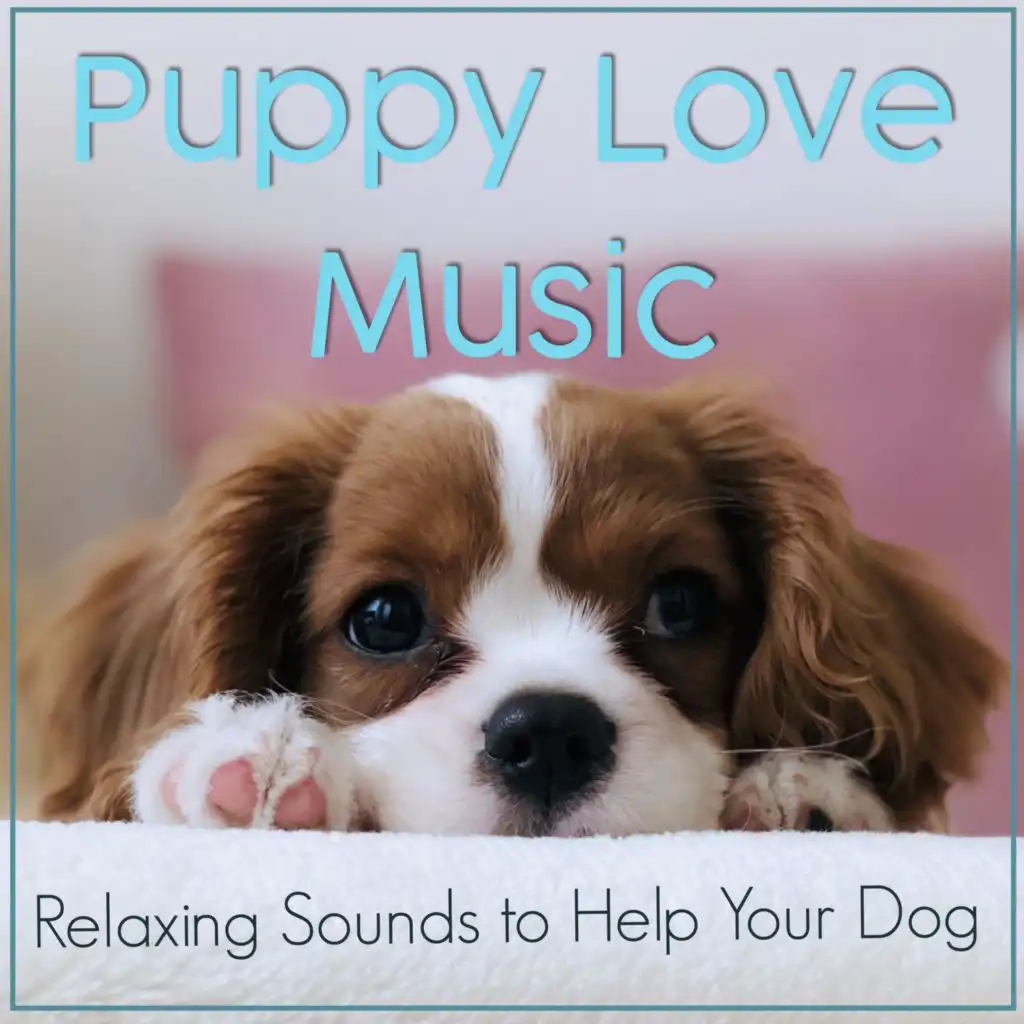 Instrumental Music for Canines