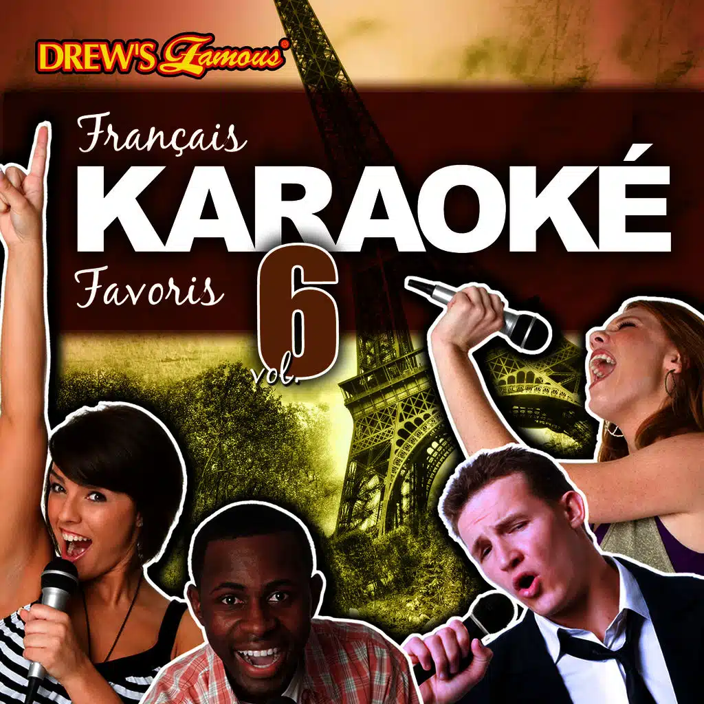 Français Karaoké Favoris, Vol. 6