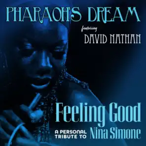 FEELING GOOD - A PERSONAL TRIBUTE TO NINA SIMONE (feat. David Nathan)