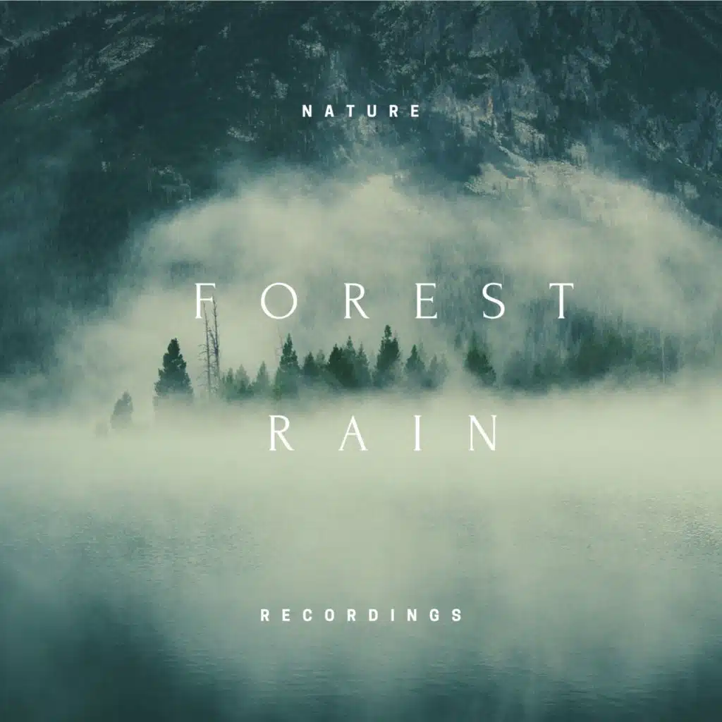 Forest Rain