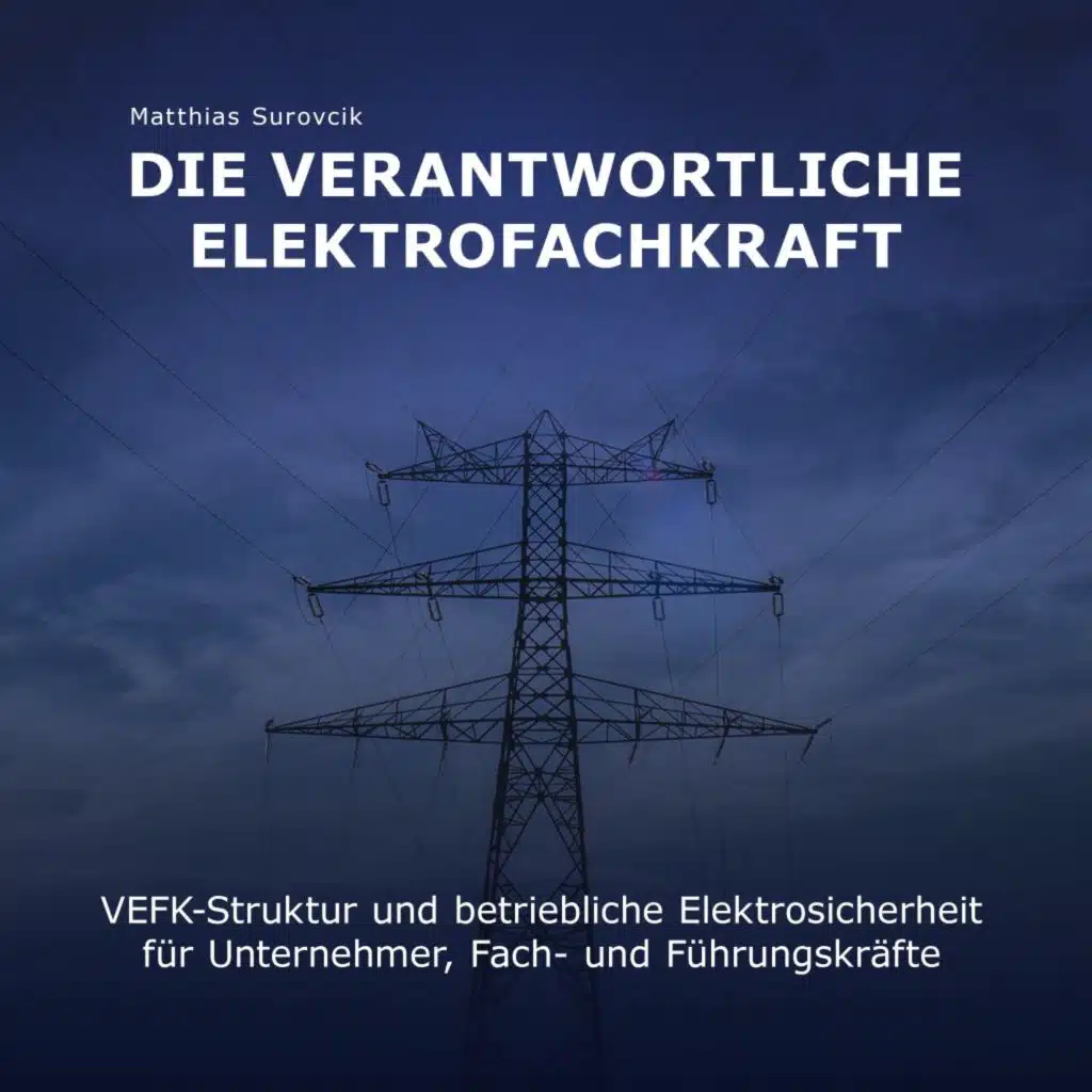 Die Verantwortliche Elektrofachkraft (Vefk-Struktur und Betriebliche Elektrosicherheit für Unternehmer, Fach und Führungskräfte)