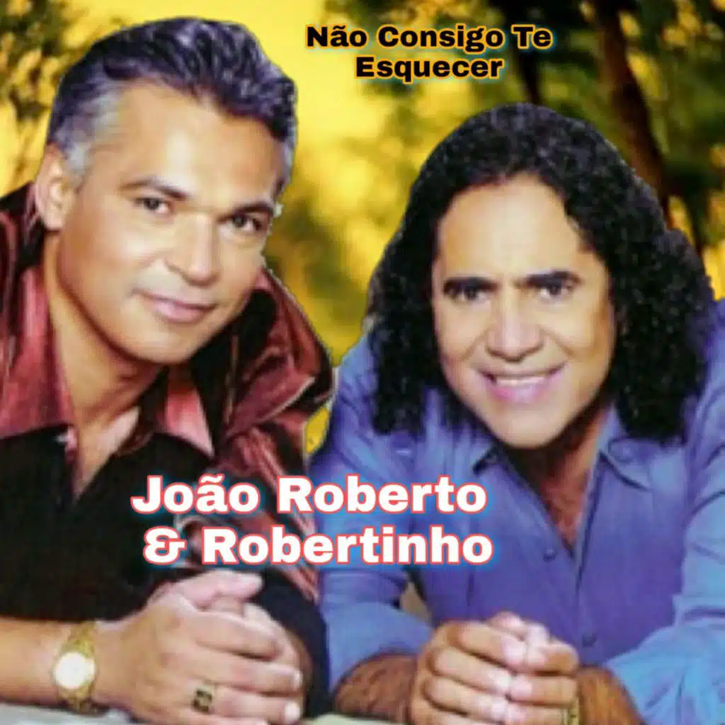 Não Consigo Te Esquecer