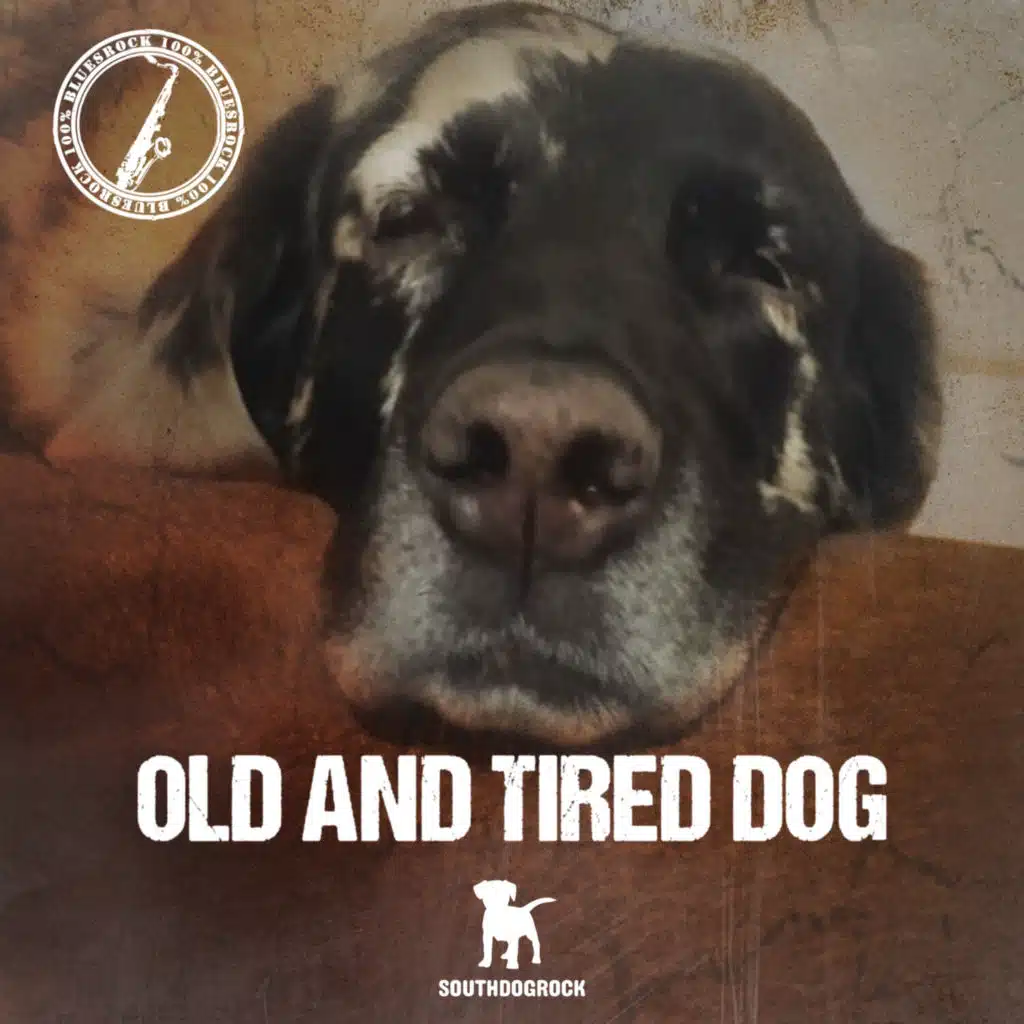 Old and Tired Dog