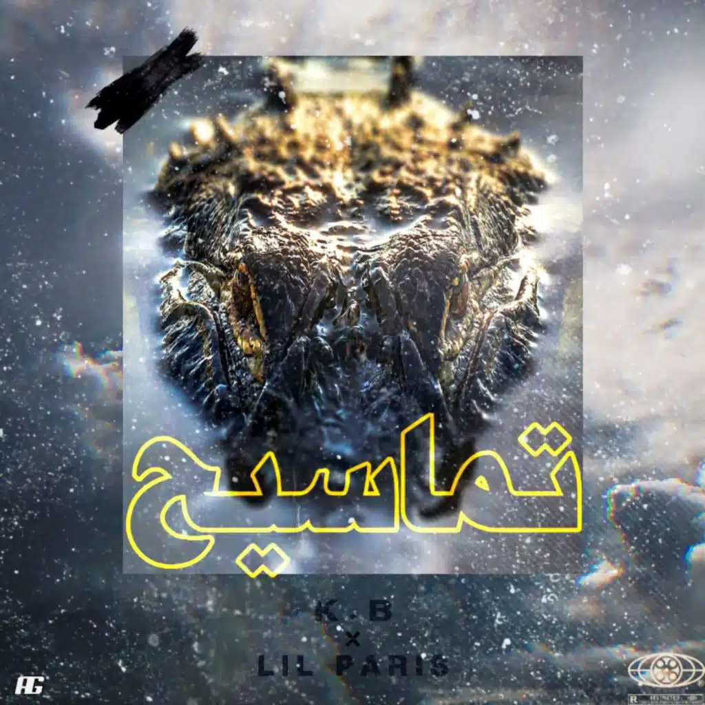 تماسيح