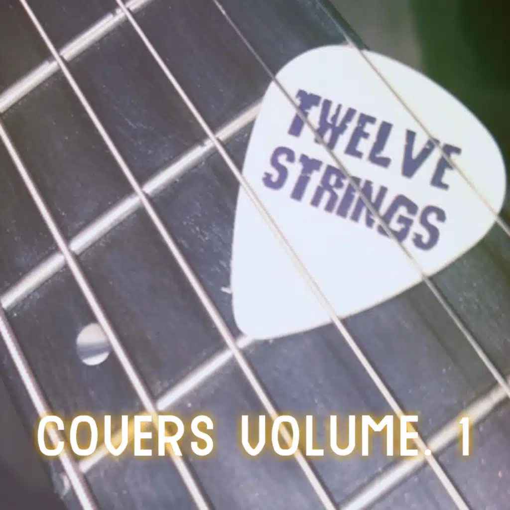 Twelve Strings Covers, Vol. 1
